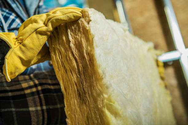 Best Insulation Installation Services in Lifornia City, CA