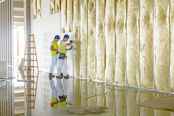 Best Types of Insulation in Lifornia City, CA